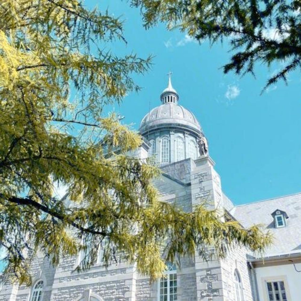 Canada + Old Quebec + Quartier Petit Champlain Day Tour / Flexible Itinerary - Customizable