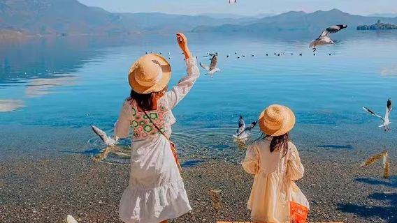 Lijiang Lugu Lake Scenic Area day tour with genuine no-shopping experience, including pig-trough boat ride, panoramic lake circling, Grass Sea, and Walking Marriage Bridge