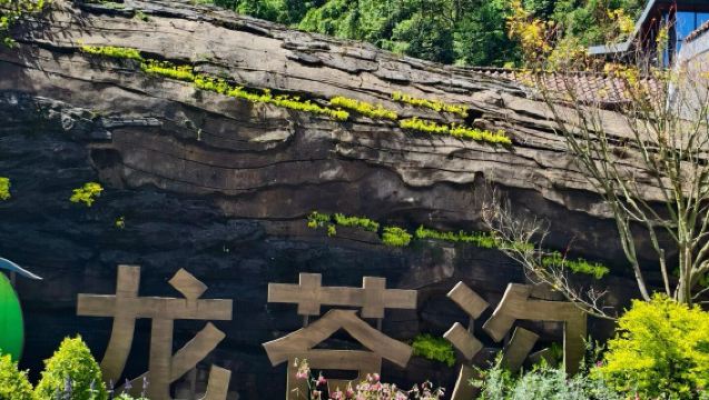 1-day tour to Longcanggou National Forest Park and Mount Dawagengzha in Ya'an, Sichuan offers services in both Chinese and English