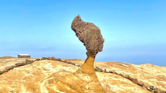 Yehliu Geopark + Jiufen + Shifen-Wasserfall + Shifen Old Street Tagestour - Abfahrt von Ximending