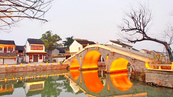 [Shanghai - La terra dei granchi del Lago Yangcheng] Isola dei Loto + Vecchia Via di Bacheng + Tempio Chongyuan