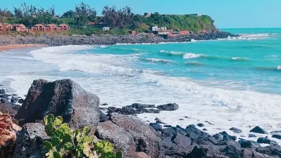 湛江硇洲島+東海島包車一日遊·含船票+門票+觀光車+陪同上島