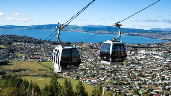 1-day road trip to Skyline Rotorua, Redwoods Forest, and Te Puia - Rotorua, NZ