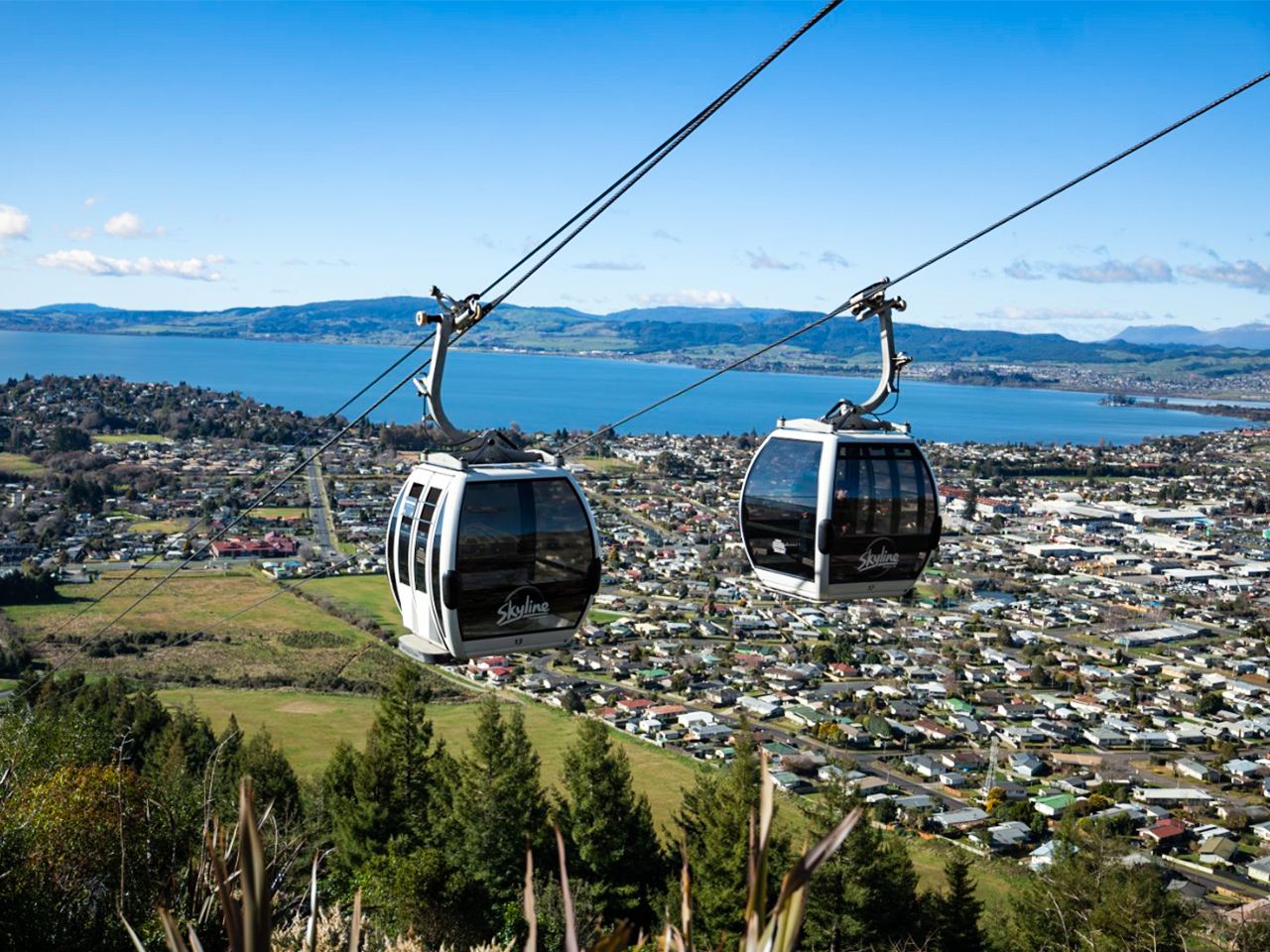 1-day road trip to Skyline Rotorua, Redwoods Forest, and Te Puia - Rotorua, NZ