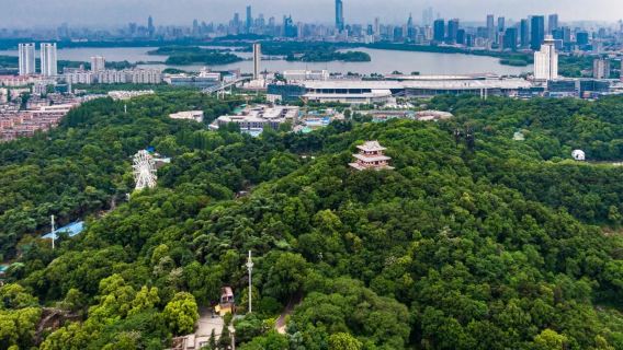 南京:紅山森林動物園+鶏鳴寺+玄武湖|中英等多言語対応-カスタマイズ貸切チャーター