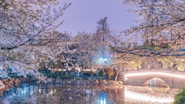 武康路-安福路-上海千古情5座/7座可選包車遊