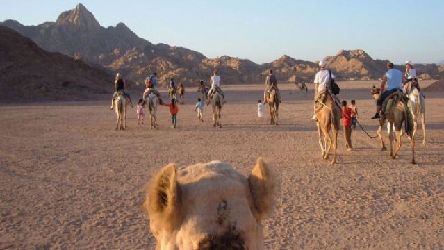 Magische woestijnsterrenkijkervaring, kamelenrit & BBQ-diner met Bedoeïenenshow onder de sterren