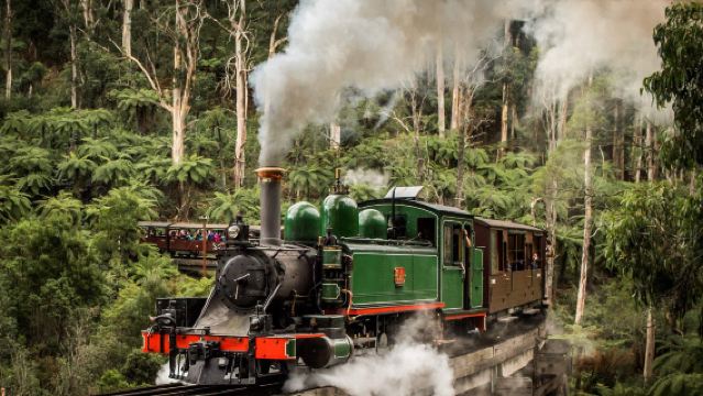 Puffing Billy Steam Train Rainforest Tour in Australia