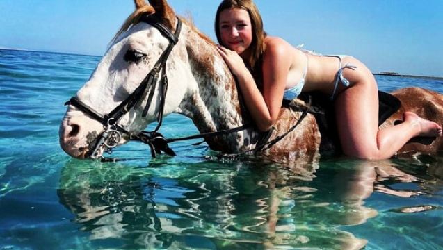Hurghada Horse Riding Experience on The Beach or In The Desert. unforgettable experience