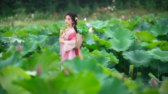 Lingyun trip moments[Photography and shooting services including photos, short videos, promotional videos, children and family-friendly portraits, wedding photos with all raw images provided]