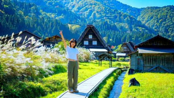 [Guia em Coreano • Saída com 1 pessoa] 3 principais atrações de Nagoia: Tour diário de Shirakawa, Takayama e Gujo Hachiman