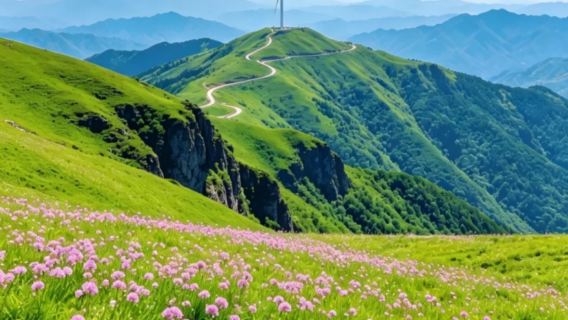 六盤水/畢節出發阿西里西大草原+韭菜坪一日遊+含車輛入場費