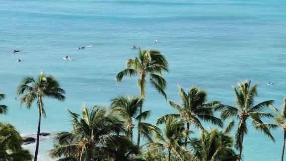 [Pulau Oahu Hawaii Amerika] Waikiki + Diamond Head + Hanauma Bay (Tidak Termasuk Tiket Masuk)