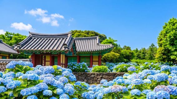 【市區上門接】濟州島牛島線純玩一日遊|含上島費+來回船票