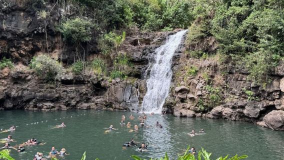 Hawaii Honolulu Pesisir Utara Keliling Pulau · Bandar Luncur Ombak + Penyu + Matahari Terbenam - Sewaan Peribadi Bahasa Cina - Pilihan Terbaik
