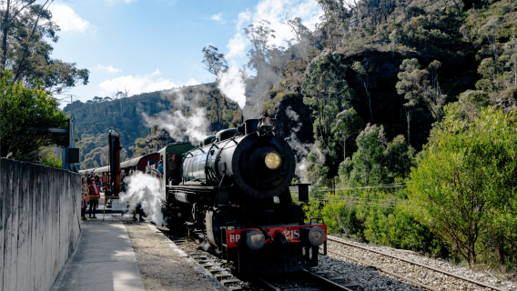 Sydney Blue Mountains cable car + Zig Zag steam train + harbour ferry 1-day tour