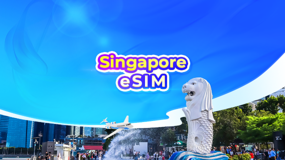Singapore 4G eSIM | ChatGPT Available | Day Pass/Total Data Package | 24-Hour Billing | QR Code