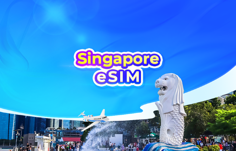 Singapore 4G eSIM | Dual Network • ChatGPT Available | Day Pass/Total Data Package | 24-Hour Billing | QR Code