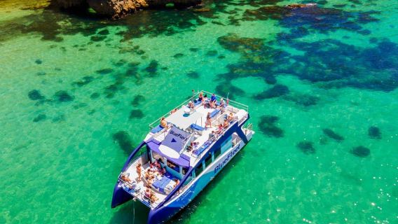 Ponta da Piedade: Half-Day Cruise with Lunch from Lagos