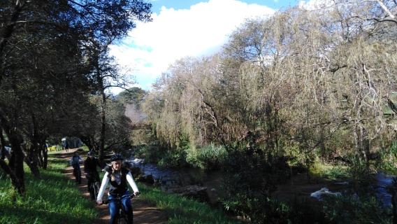 Stellenbosch: E-Bike Jonkershoek & Stark Conde Tour