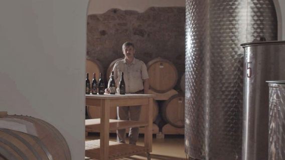 Olbia: Gallura Winery Guided Tour with Tasting
