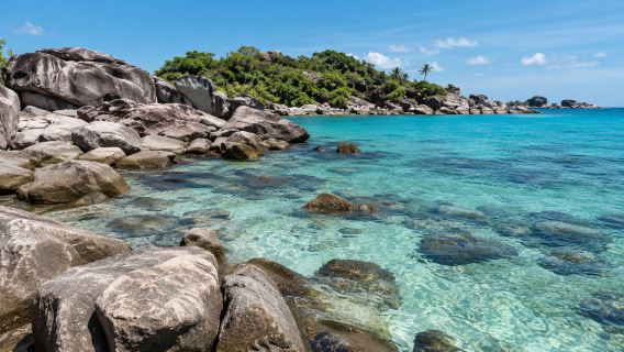 Boat snorkeling to view corals: An Thoi port + Gam Ghi island + May Rut island with lunch 1-day tour