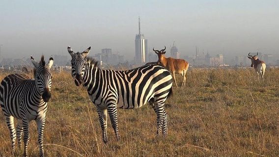 NairobiTours