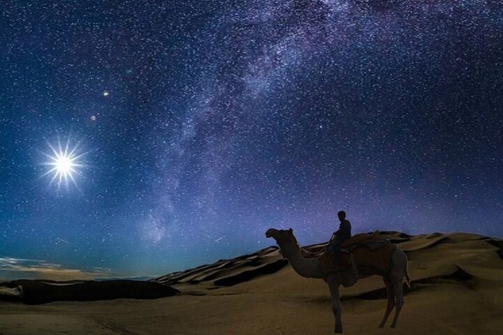 Private Or Share Tour Night Desert Safari Camel Ride Dune Bashing Trip Com