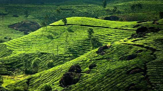 KochiTours