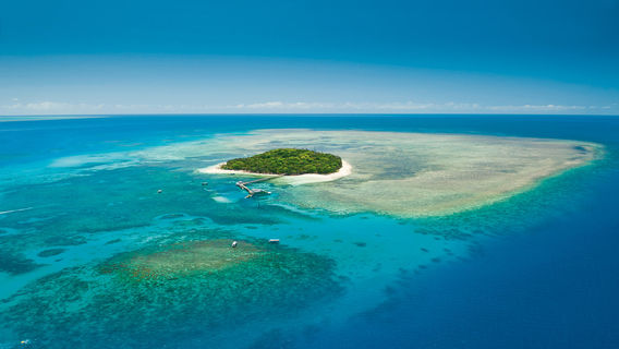 CairnsTours