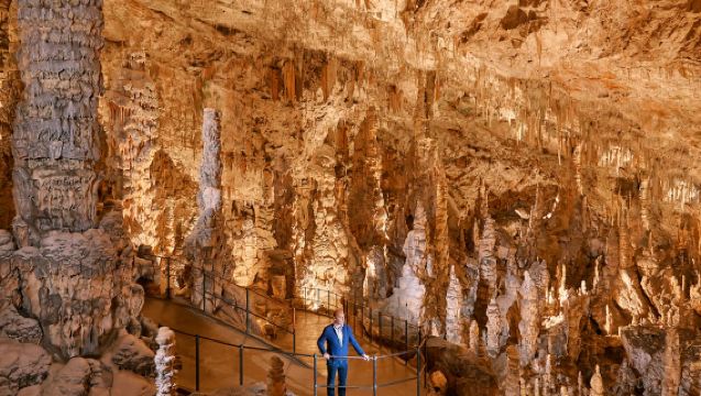 Hang động Postojna & Lâu đài Predjama: Tour nửa ngày từ Ljubljana