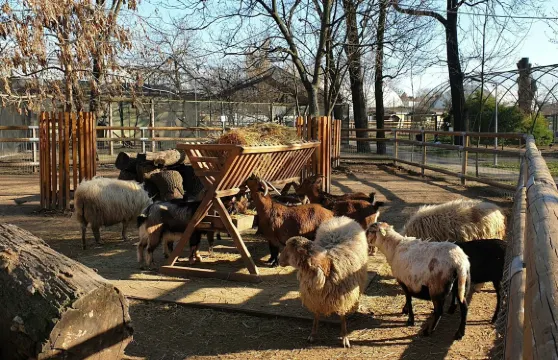拉迪亞動物園：見面會成人