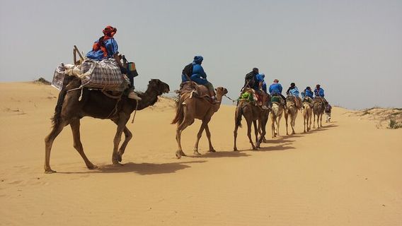 EssaouiraTours