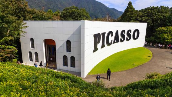 однодневный тур в Музей Хаконе под открытым небом + Долину гейзеров Овакудани + Храм Хаконе-дзиндзя с отправлением из Токио