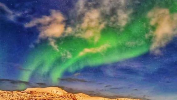挪威特羅姆瑟來回塞尼亞島-包車-另有拼團即時詢價-精選