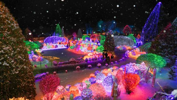 Winter exclusive|Alpaca World X Nami Island X Five-Color Starlight Garden Exhibition at Garden of Morning Calm