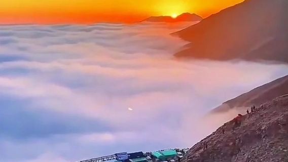 西寧+青海湖+日月山一日遊【包車遊 晚出發】