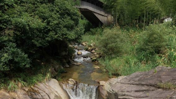 麗水—遂昌：南尖岩+金礦國家礦山公園+千佛山 景點可訂製G
