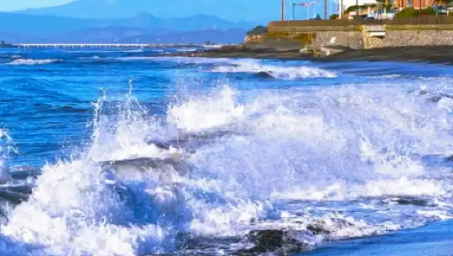 日本東京鎌倉高校前+江之島+鎌倉大佛+鶴岡八幡宮/包車隨心所欲選