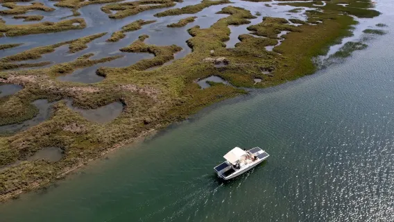Ria Formosa: Solar Eco Boat Tour from Faro