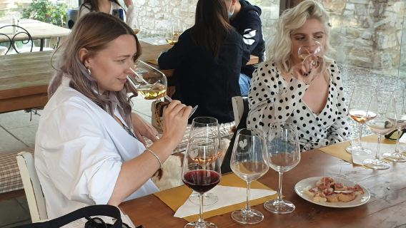 Florence: Wine Tastings + Minivan Tour