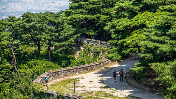 ChungjuTours