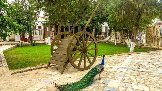 BukharaTours