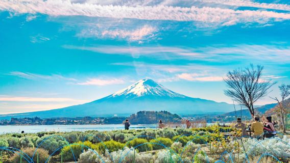 [ทัวร์กลุ่มเล็กคุณภาพ] ทัวร์ 1 วันโตเกียว-ภูเขาไฟฟูจิ: รวมประสบการณ์พิเศษจาก KabaBus