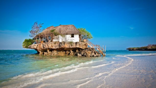 Zanzibar: Tour del Parco nazionale di Jozani Chwaka Bay, scimmie colobo rosse e The Rock Restaurant