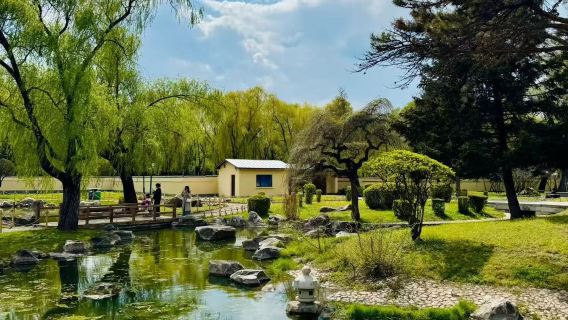 Tour 1 ngày khám phá trung tâm thành phố Cáp Nhĩ Tân, thỏa sức vui chơi tại Nhĩ Tân, đoàn nhỏ riêng tư, có thể tùy chỉnh lịch trình theo yêu cầu