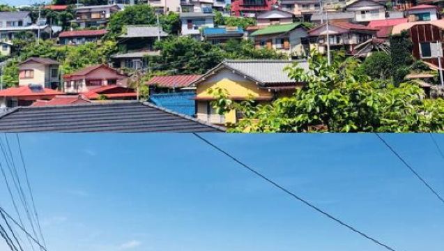 日本東京+伊豆城崎海岸+大室山一日遊/行程可調-可訂製多日遊