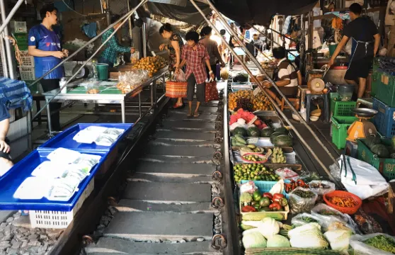 光滑鐵路與安帕瓦螢火蟲之旅 – 一日盡享當地精彩亮點！