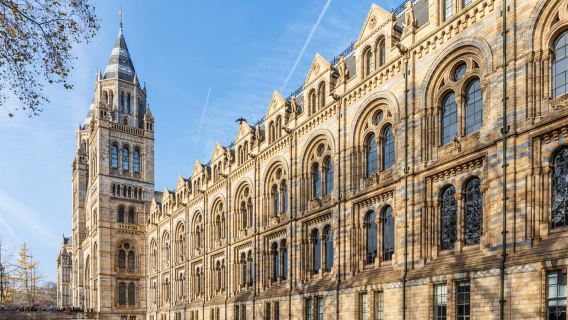 Führung durch das Natural History Museum London, halbprivat, 8 Personen