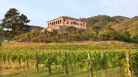 Torreglia: Villa dei Vescovi